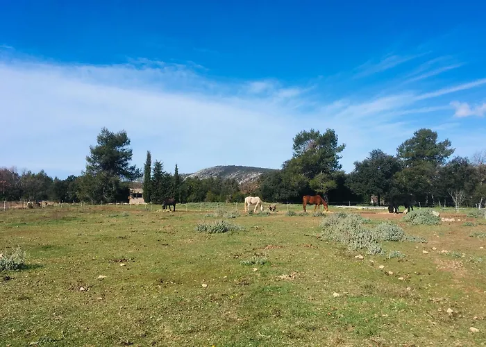 Centre Mediation Equine La Daouste