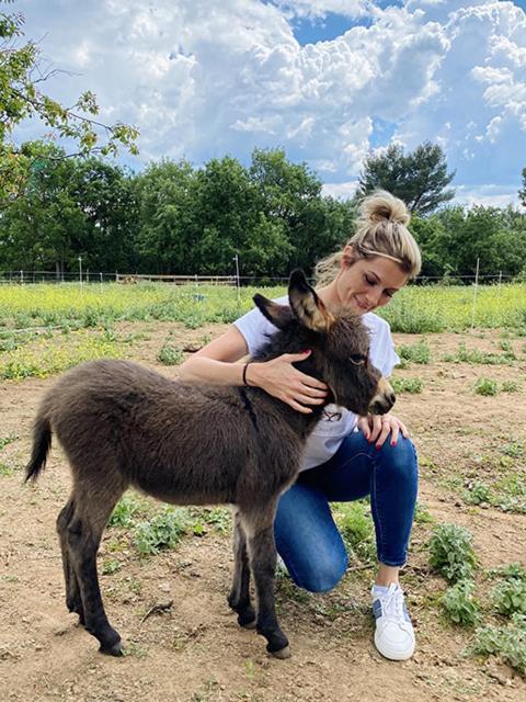 Farm stay Centre Mediation Equine La Daouste *